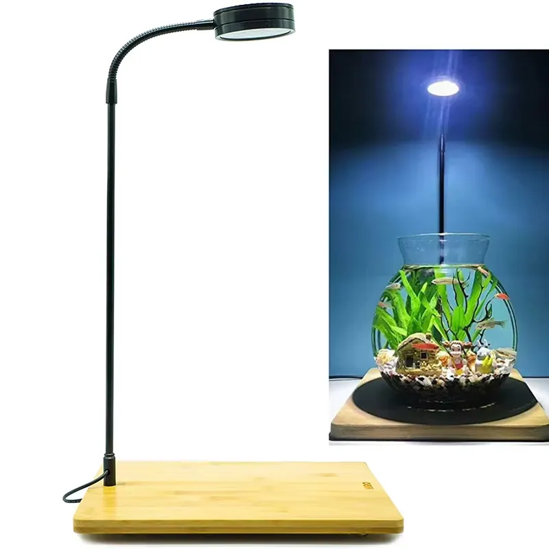 Planted Aquarium For Betta - Full Spectrum LED Light with Board