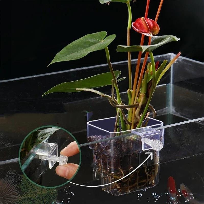 Aquarium Plant Easy To Grow - Clear Hangable Aquarium Plant Holder Easy