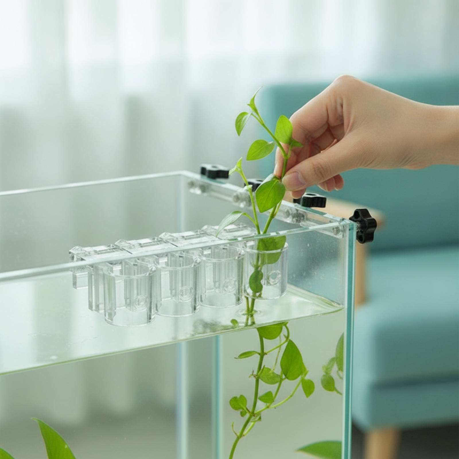6 Pieces Aquarium Planter Clea - Aquarium Plants ulasan dan harga