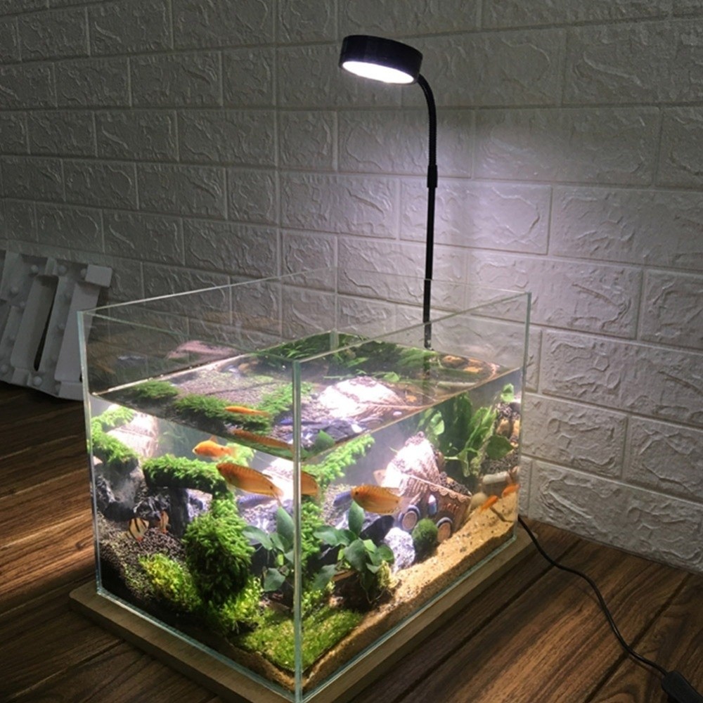 10W Fish Tank LED Lamp with Wo - Aquarium Plant On Wood ulasan dan harga