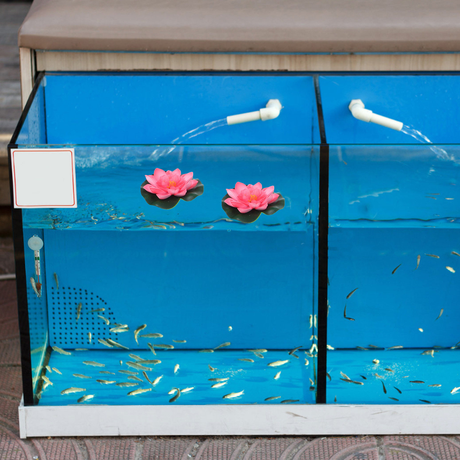 12Pcs Artificial Floating Wate - Aquarium Plants ulasan dan harga