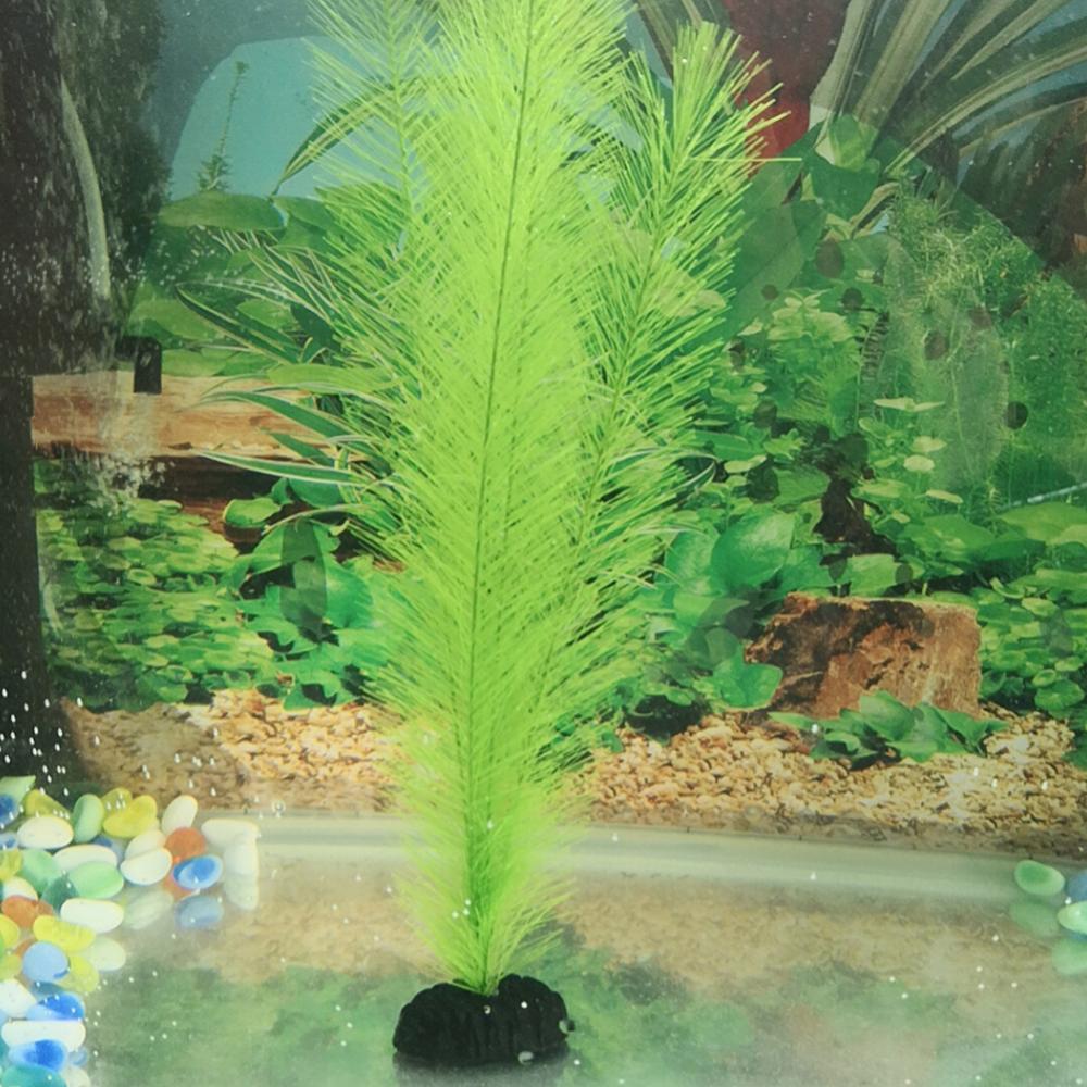 1/3Pcs 28/40cm Aquarium Fish T - Aquarium Plant Live ulasan dan harga