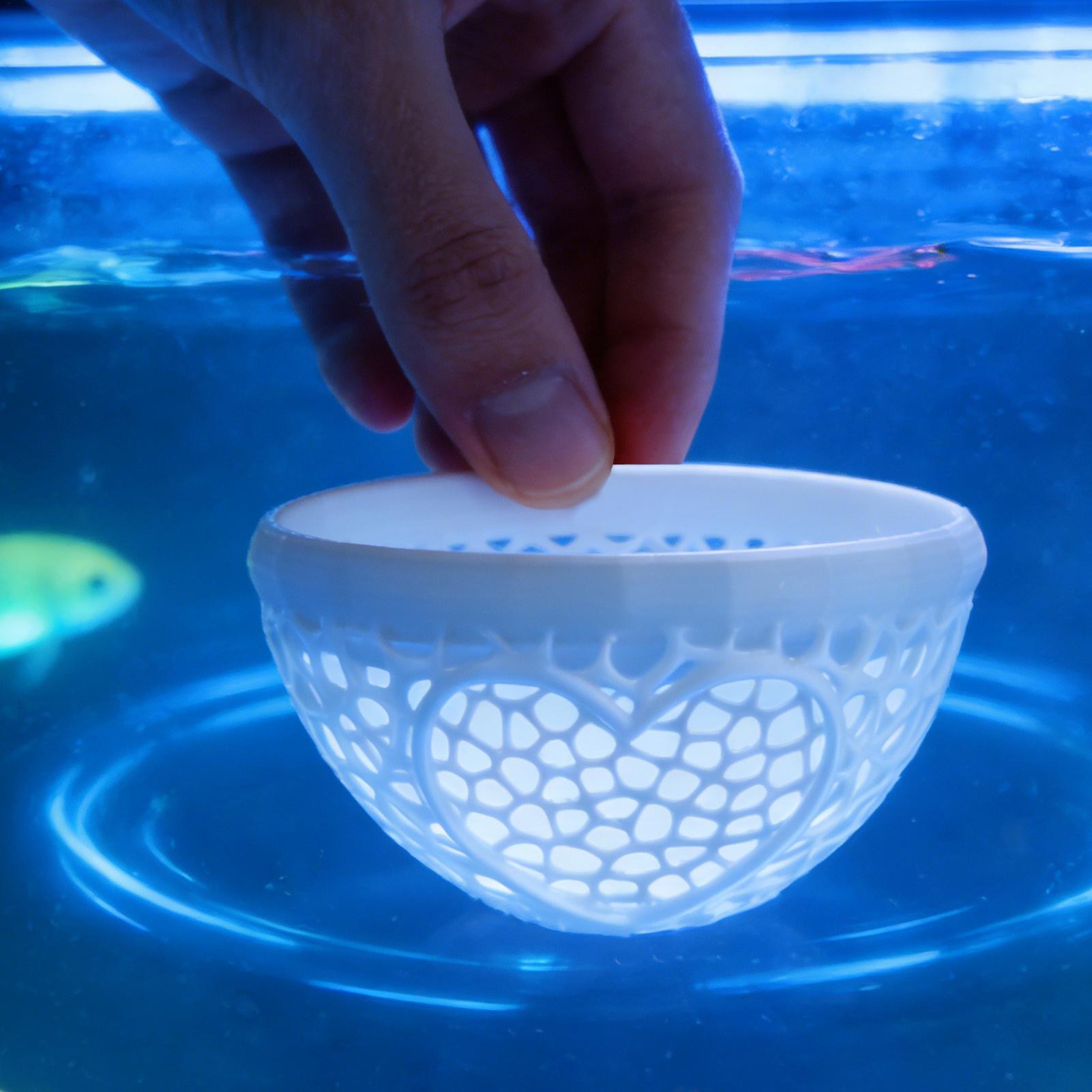 Floating betta shelter Betta h - Planted Aquarium For Betta ulasan dan harga