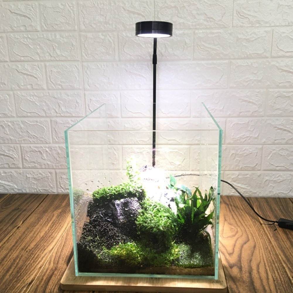 10W Fish Tank LED Lamp with Wo - Aquarium Plant On Wood ulasan dan harga