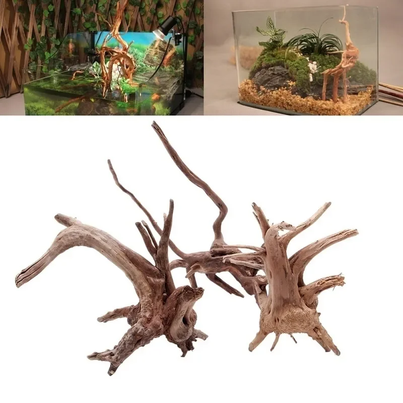 Natural Tree Trunk Driftwood A - Aquarium Plant Live ulasan dan harga