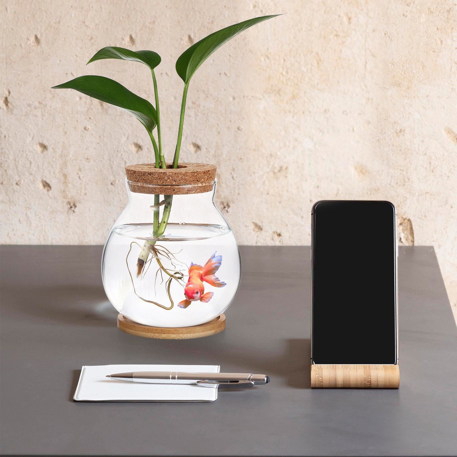 Desktop Glass Fish Bowl Small  - Planted Aquarium Bowl ulasan dan harga