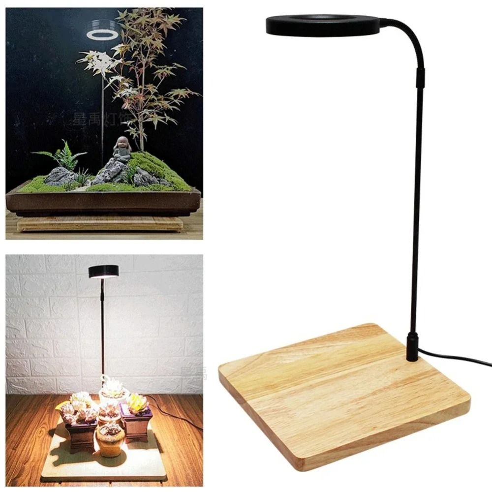 10W Aquarium Plant Fill Lamp w - Aquarium Plant On Wood ulasan dan harga