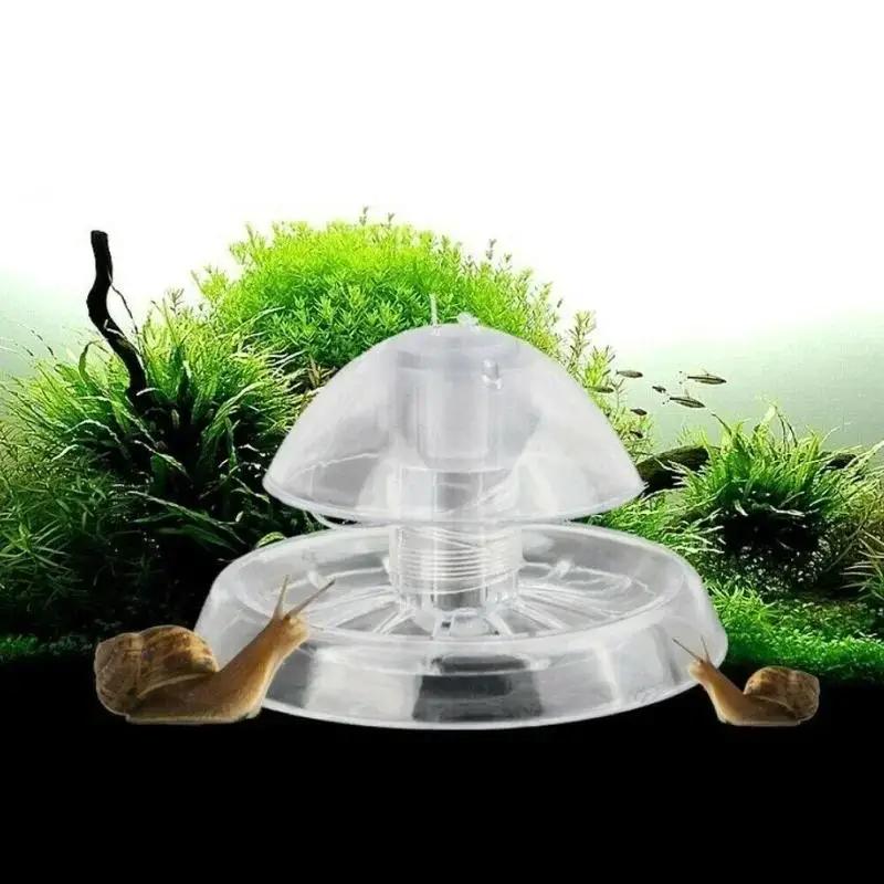 2026 New 6/8CM Clear Plastic S - Aquarium Plants ulasan dan harga