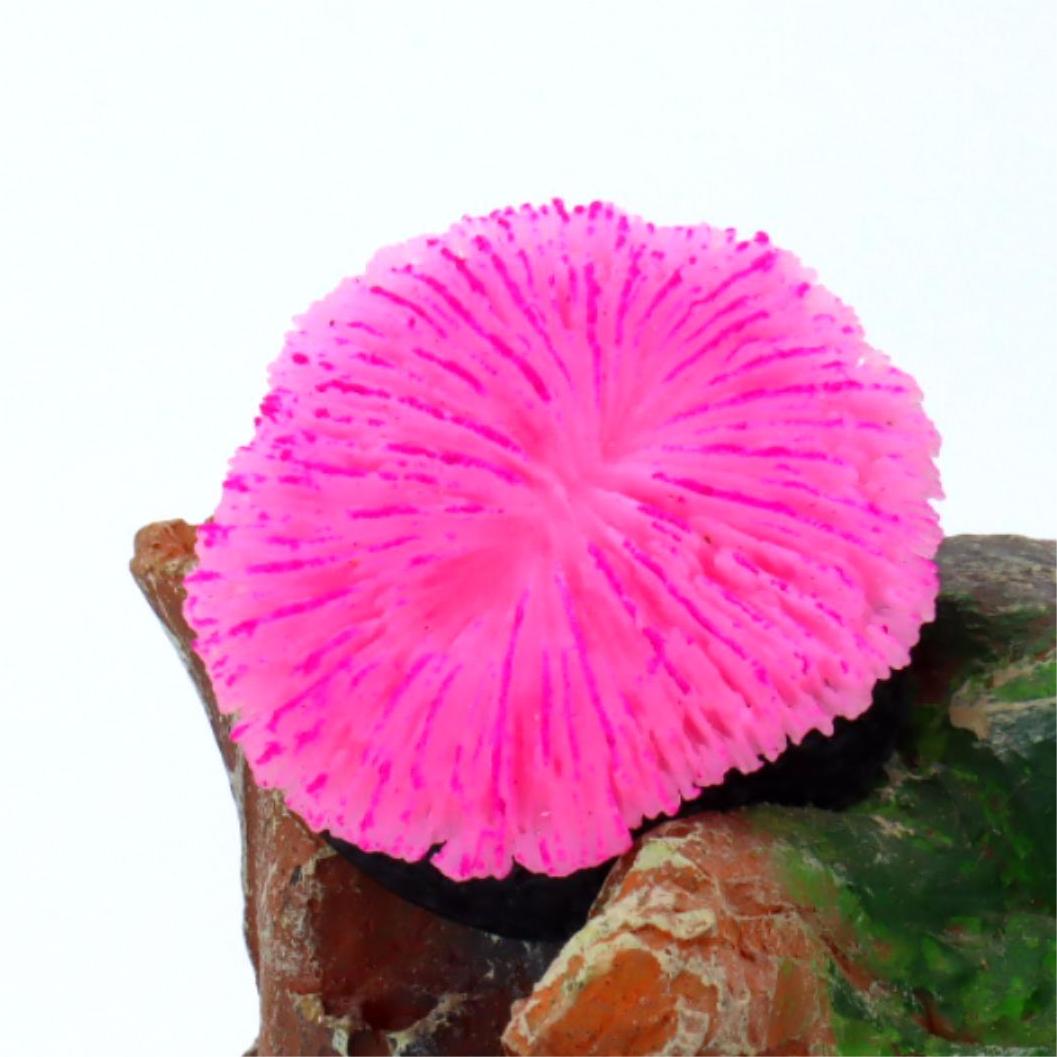 1 piece aquarium decoration sa - Aquarium Plant Live ulasan dan harga