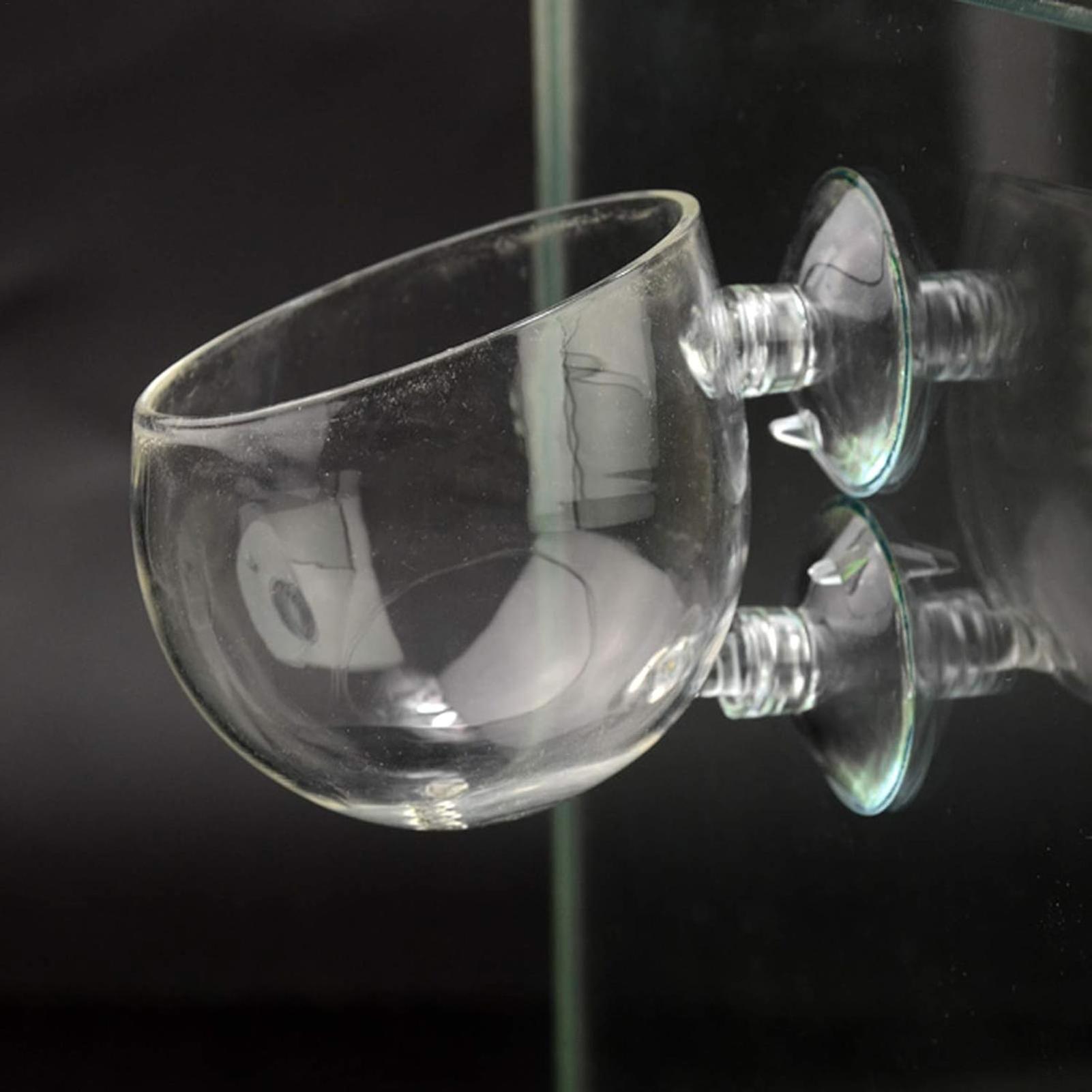 Aquarium Plant Holder Glass Aq - Aquarium Plant Live ulasan dan harga