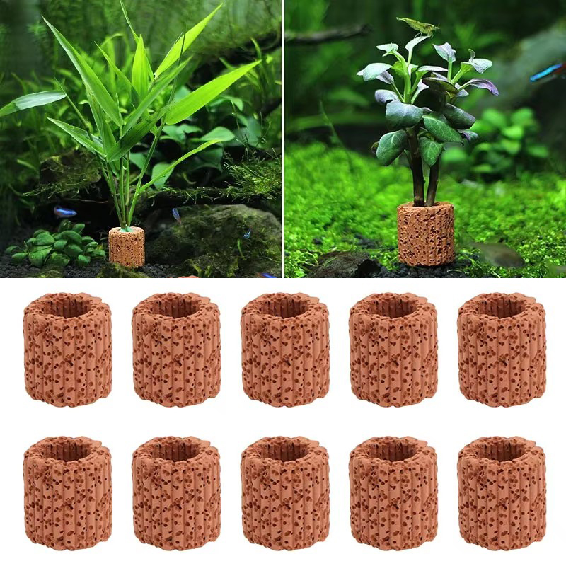 Aquatic Plant Fixed Ring for A - Aquarium Plant Live ulasan dan harga