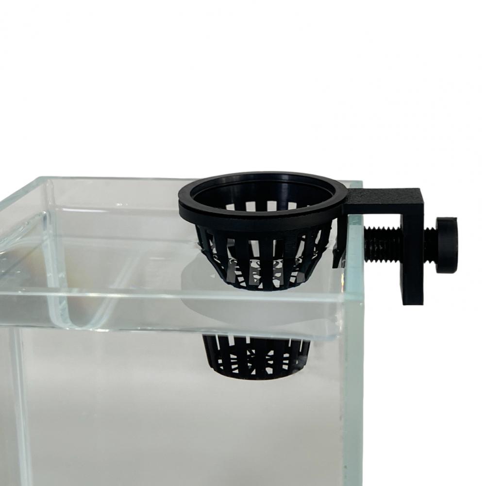 Aquatic Plant Holder Aquarium  - Planted Aquarium Anubias ulasan dan harga