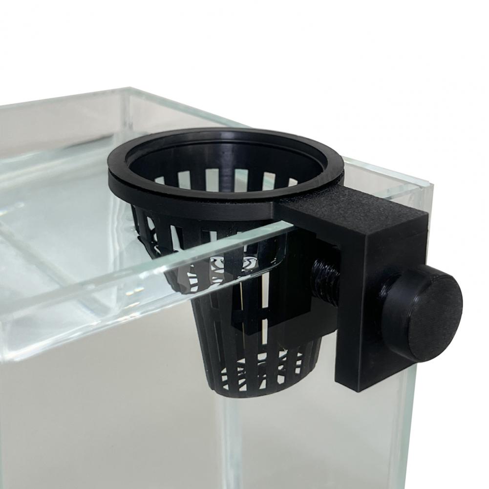 Aquatic Plant Holder Aquarium  - Planted Aquarium Anubias ulasan dan harga