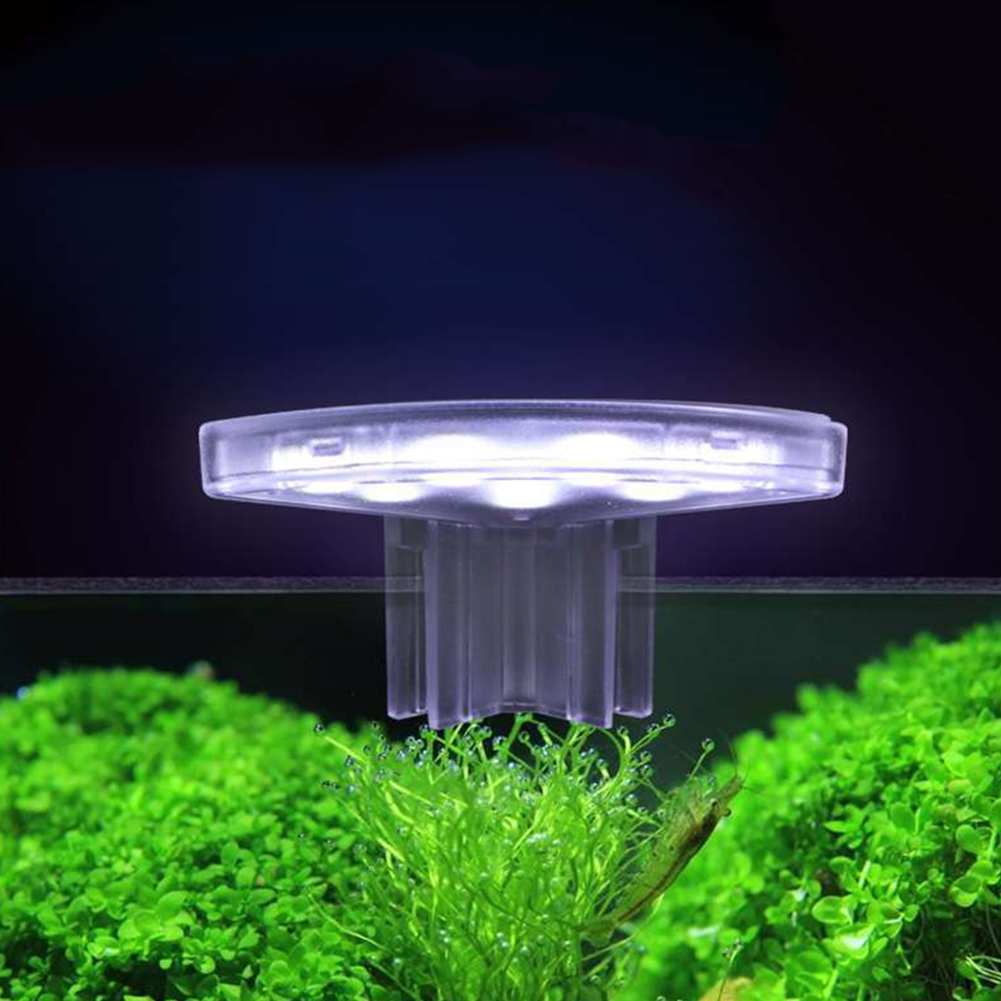 LED Plants Grow Lamp Energy-Ef - Aquarium Plant Easy To Grow ulasan dan harga