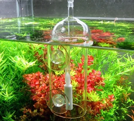 VIV Do Device Aquarium Cylinde - Aquarium Plant Live ulasan dan harga