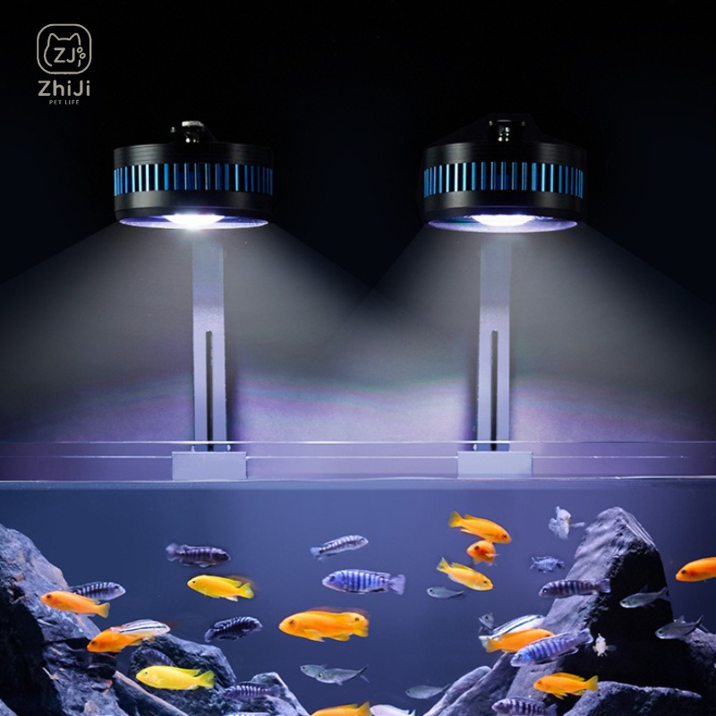 Fish Tank Downlight Led Full S - Aquarium Plant On Wood ulasan dan harga