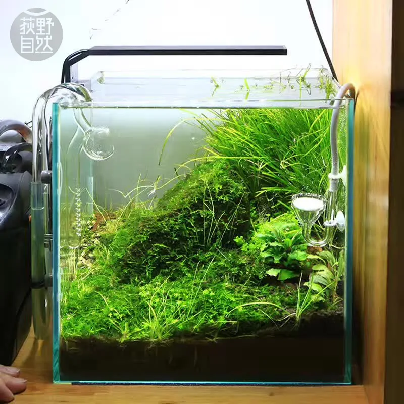 Chihiros C Series ADA Style Pl - Planted Aquarium Ada ulasan dan harga