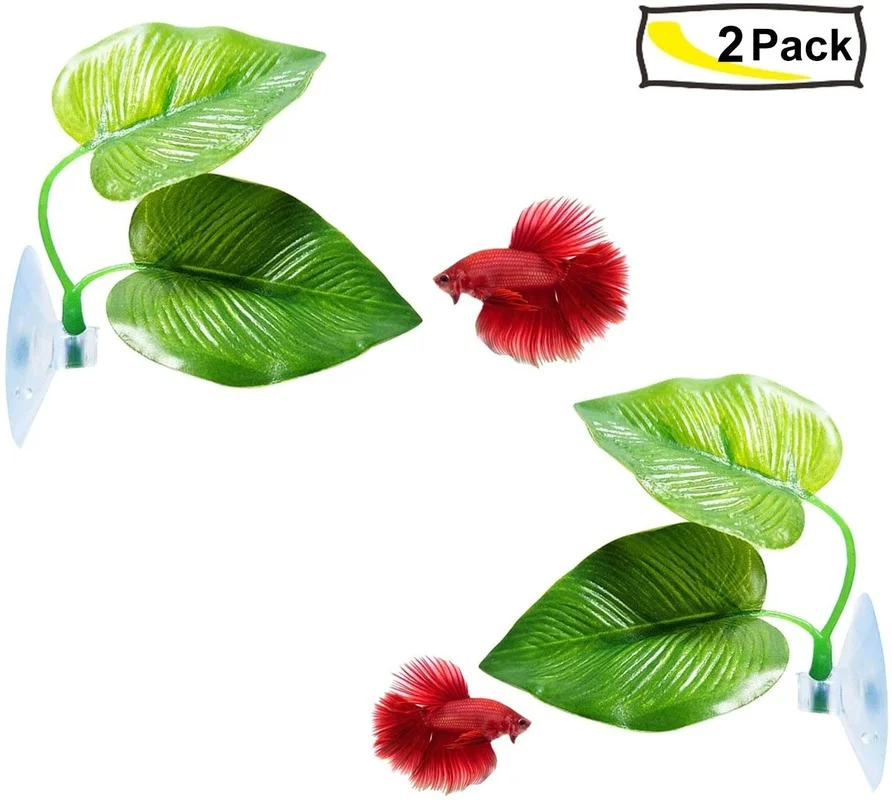 Betta Fish Leaf Hammock Simula - Planted Aquarium For Betta ulasan dan harga
