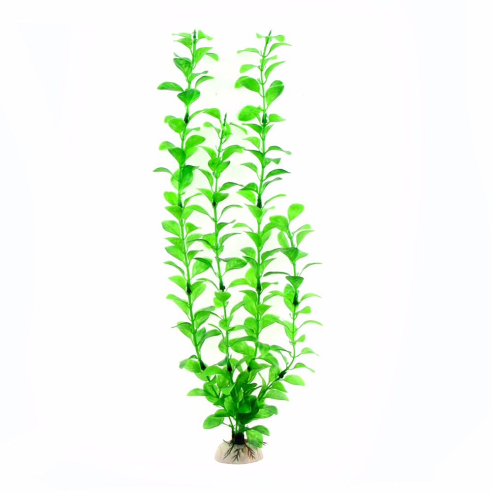 Ornament Aquarium Accessories  - Aquarium Plant Live ulasan dan harga