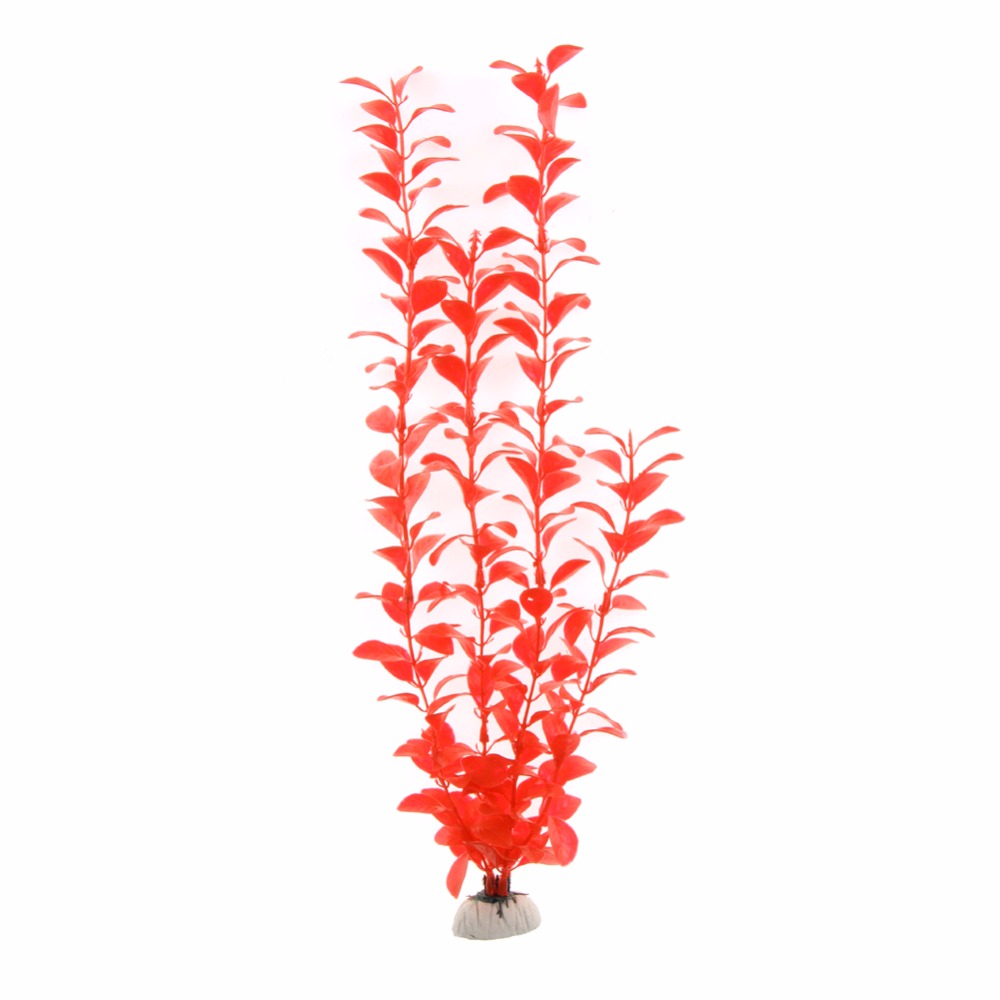 Ornament Aquarium Accessories  - Aquarium Plant Live ulasan dan harga