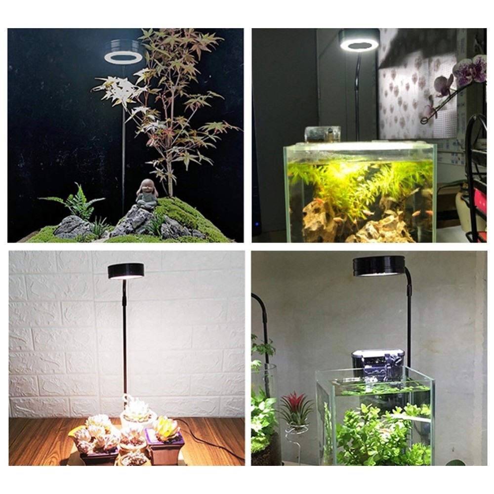 10W Fish Tank LED Lamp with Wo - Aquarium Plant On Wood ulasan dan harga