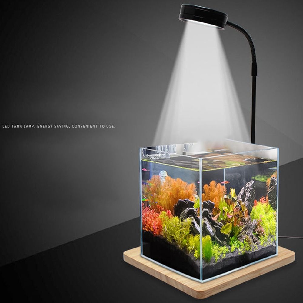 10W Fish Tank LED Lamp with Wo - Aquarium Plant On Wood ulasan dan harga