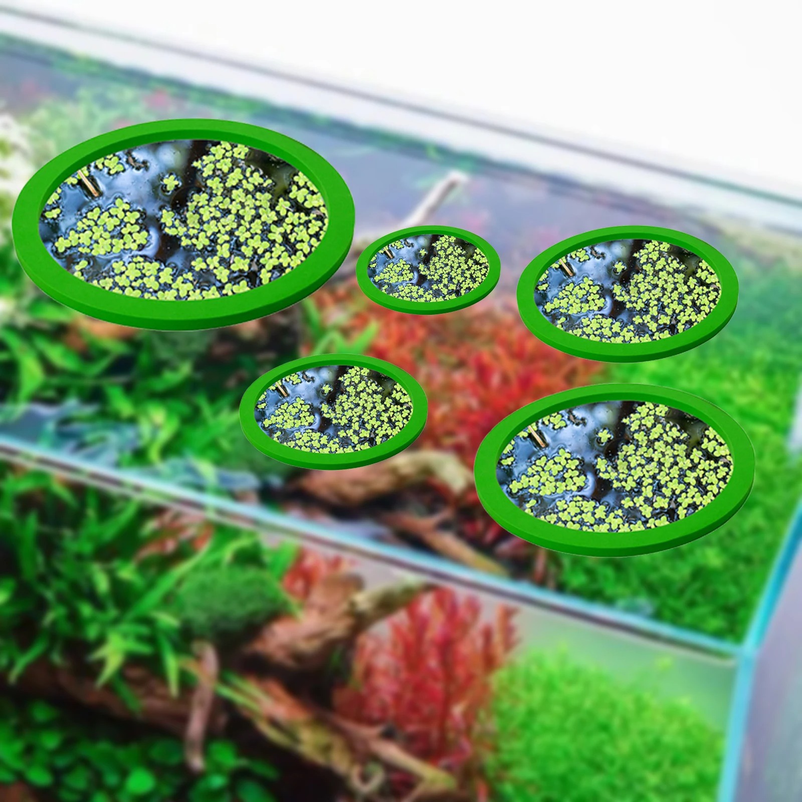 5Pcs EVA Fish Feeding Ring Aqu - Aquarium Plants ulasan dan harga
