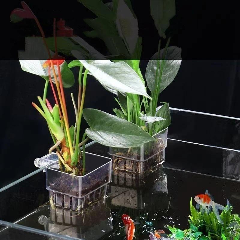 Aquapro Algae Brush Cleaning B - Planted Aquarium Ada ulasan dan harga