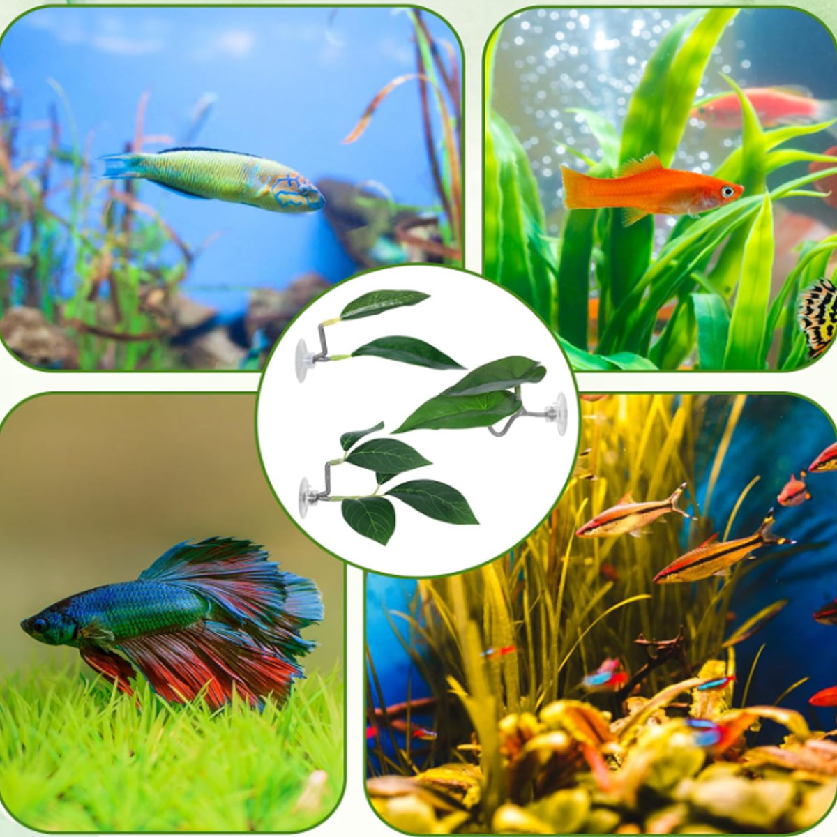 1 PC Betta Fish Hammock Soft A - Planted Aquarium For Betta ulasan dan harga