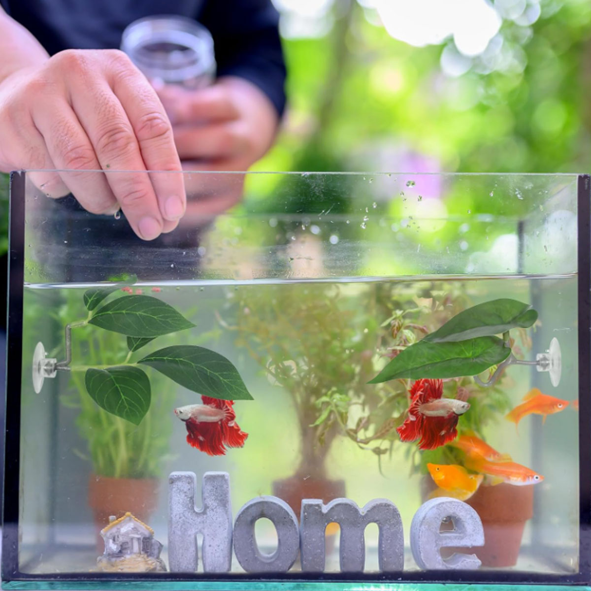 1 PC Betta Fish Hammock Soft A - Planted Aquarium For Betta ulasan dan harga