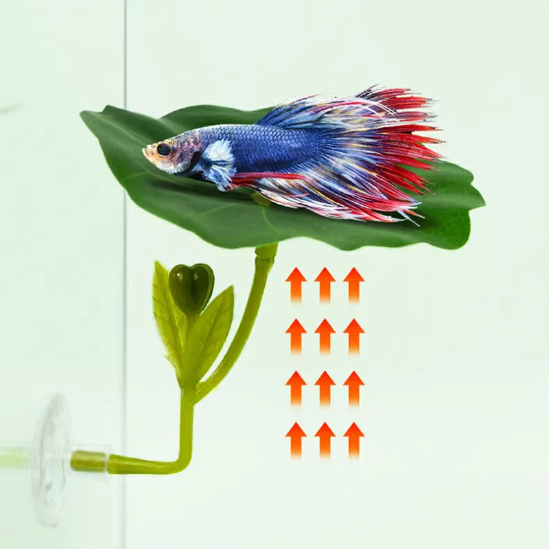 1Pc Green Leaf Hammock For Bet - Planted Aquarium For Betta ulasan dan harga