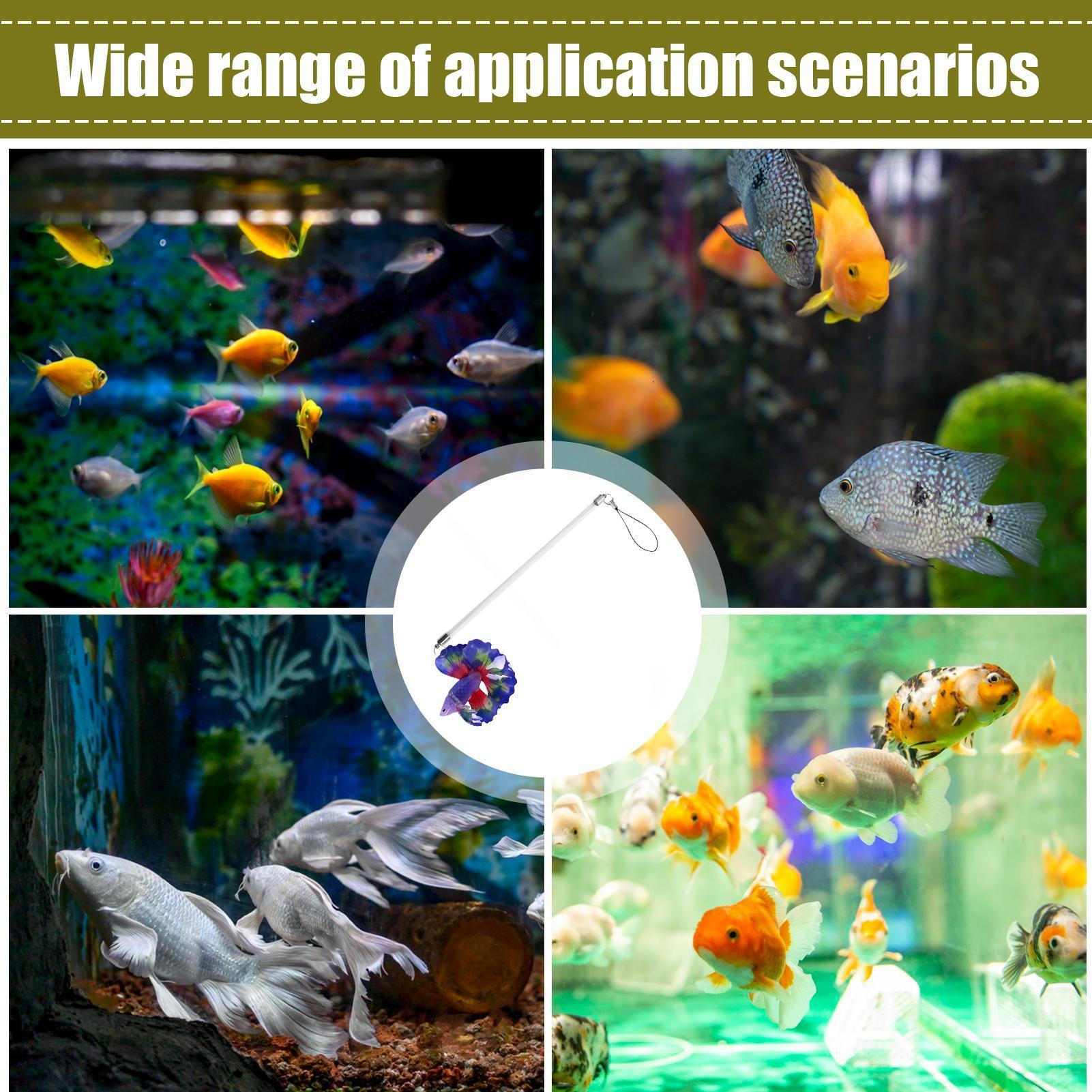 Fish Training Wand For Betta I - Planted Aquarium For Betta ulasan dan harga