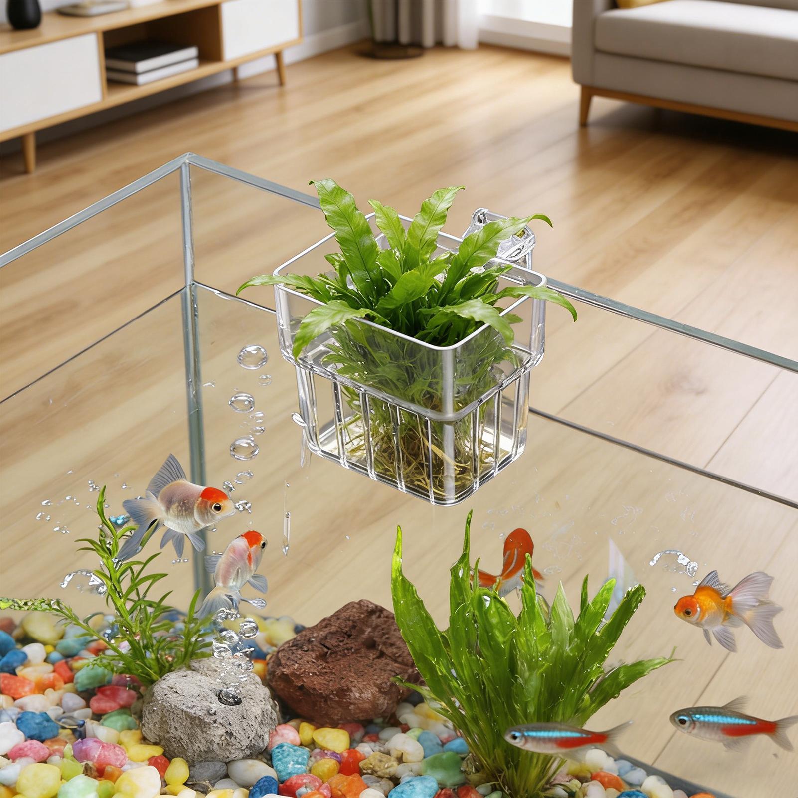 Aquarium Transparent Hanger Po - Aquarium Plant Live ulasan dan harga