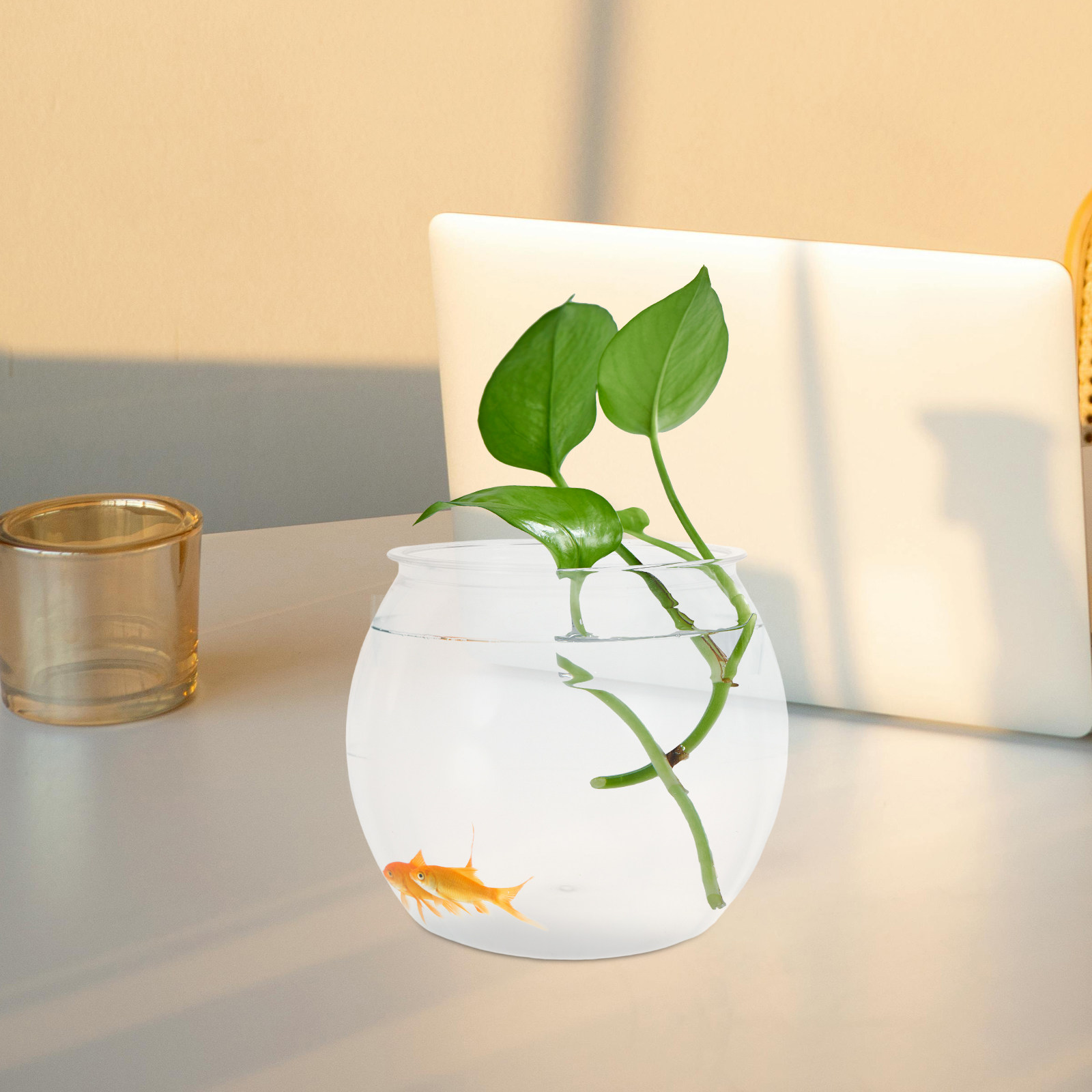 Round Shatterproof Fish Tank T - Planted Aquarium Bowl ulasan dan harga