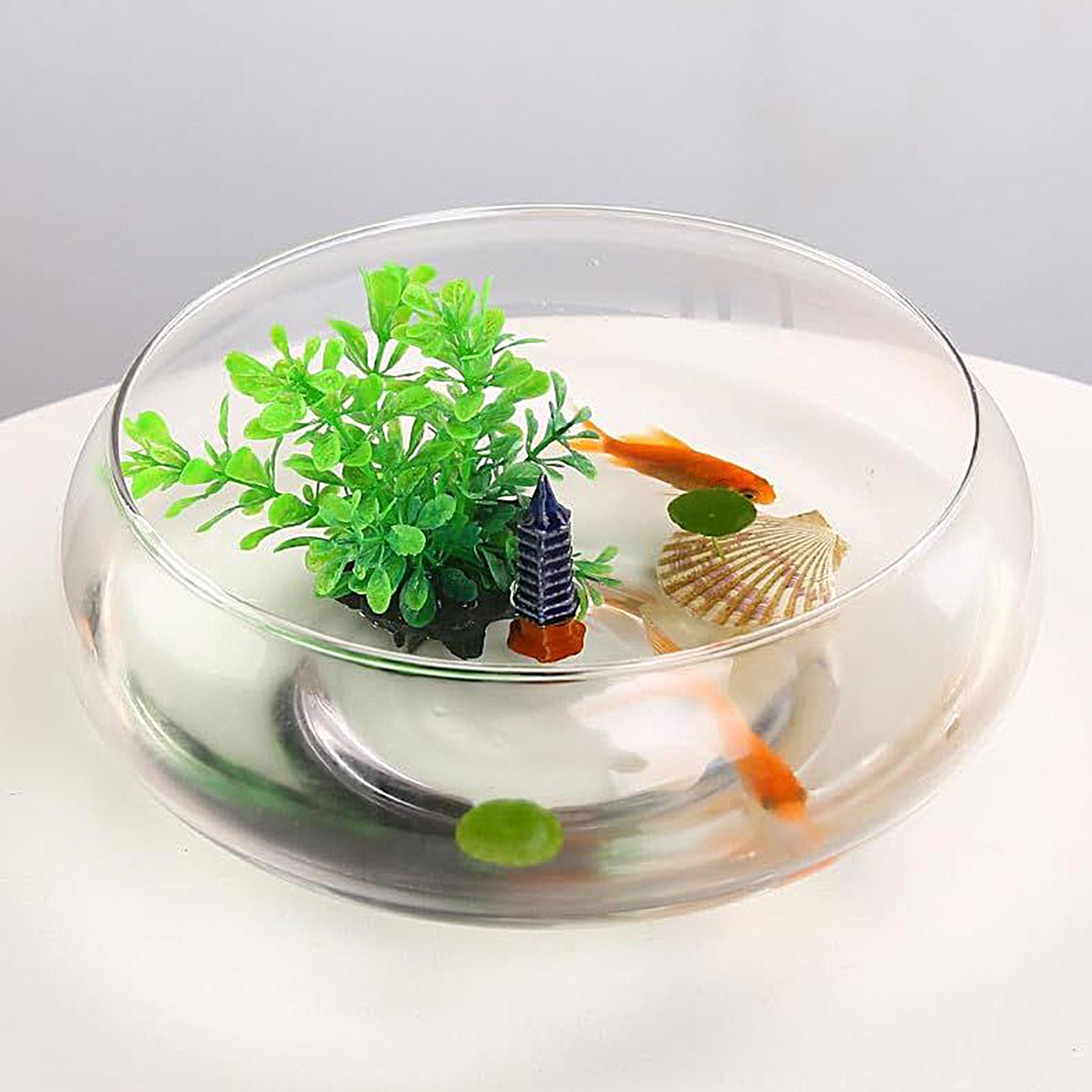Fish Glass Bowl Glass Large Hy - Planted Aquarium Bowl ulasan dan harga