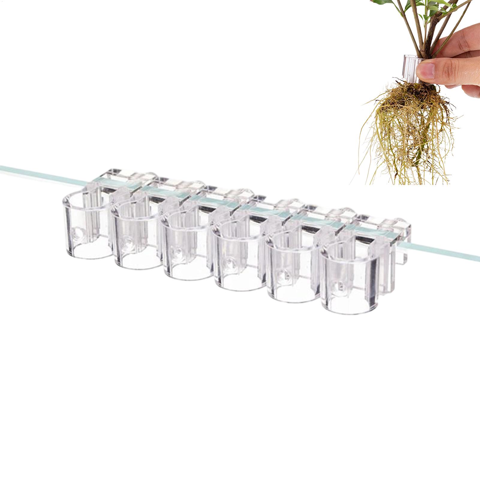 Plant Holder For Aquarium 6 Pi - Aquarium Plant Live ulasan dan harga