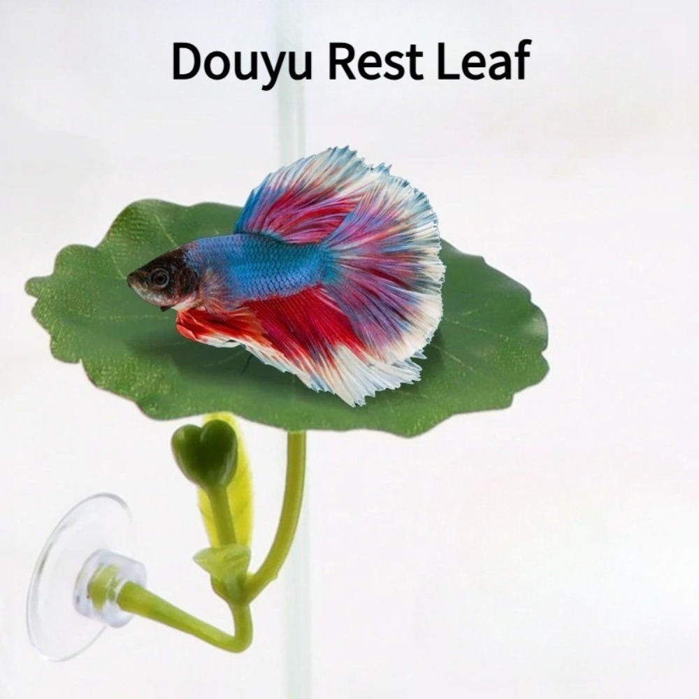 1PCS Green Leaf Betta Fish Ham - Planted Aquarium For Betta ulasan dan harga