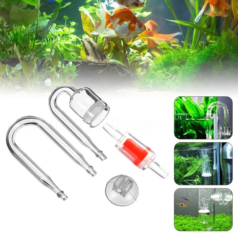 4pcs Set DIY CO2 Diffuser For  - Aquarium Plant Live ulasan dan harga