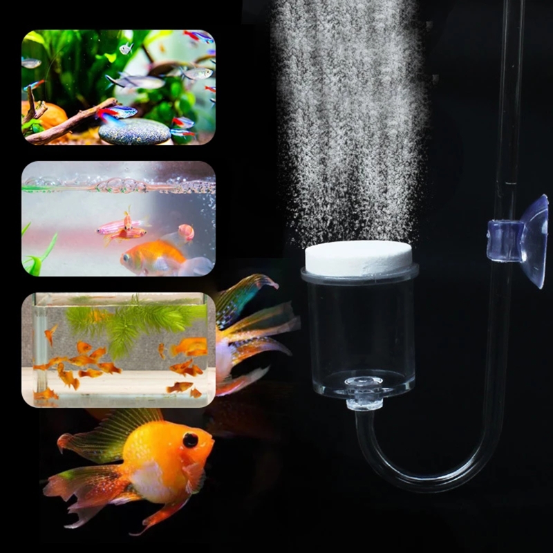 4pcs Set DIY CO2 Diffuser For  - Aquarium Plant Live ulasan dan harga