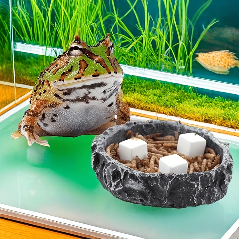 6 Pcs Fish Tank Calcium Block  - Aquarium Plant Live ulasan dan harga