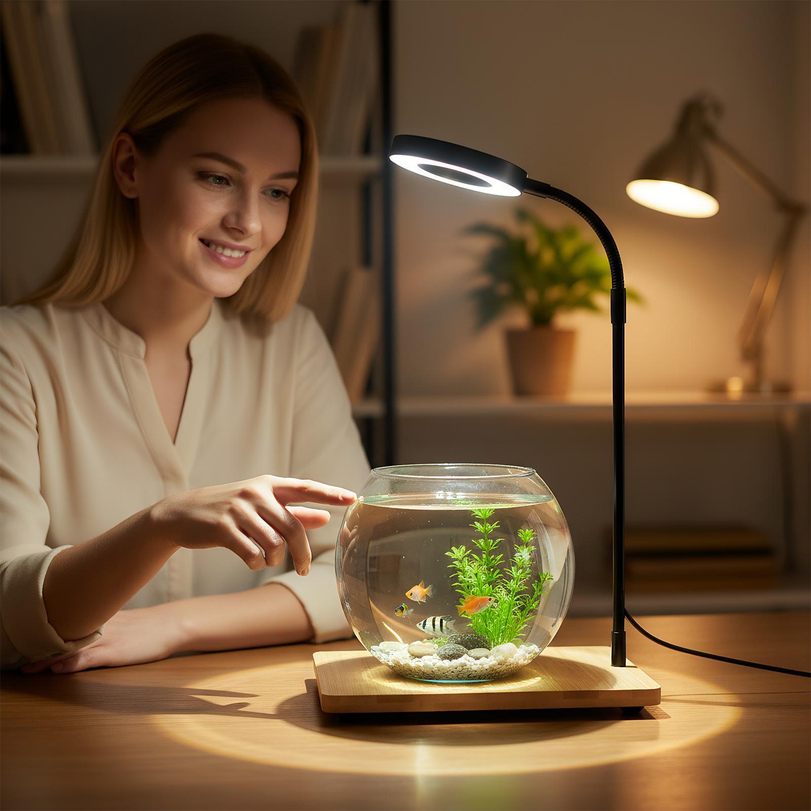 Plant Lights For Indoor Growin - Aquarium Plant On Wood ulasan dan harga